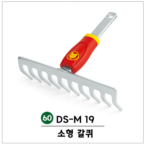 () 60.  (DS-M 19)